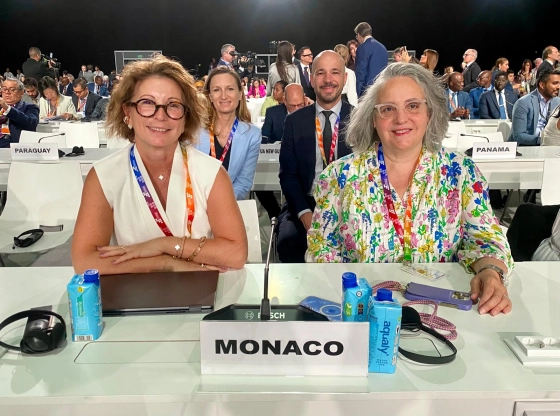 4th International Conference on Financing for Development in Seville: Monaco Reaffirms Its Commitment to Solidarity